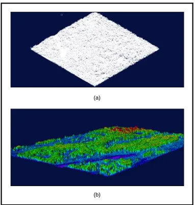 Figure 5: After Data loading shows (a) LIDAR raw data based on point cloud and (b) surface model raw LIDAR data 3D view  