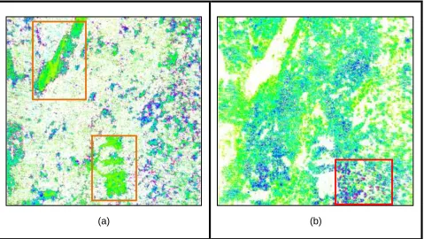Figure 7: Output after the filtering steps shows the (a) DTM and (b) DSM in raster image  