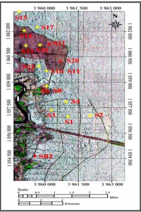 Figure 2.    Location of sampling points collected in northern portion of the TOPSAR data  strip