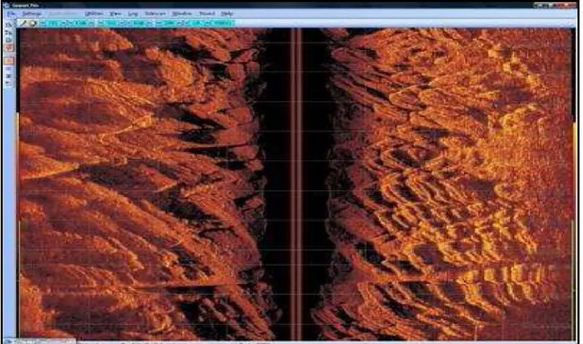 Figure 1.3: Multibeam Side Scan Sonar Imagery 