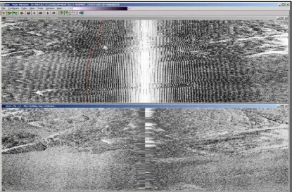 Figure 1.5: Derivation of multibeam backscatter imagery 