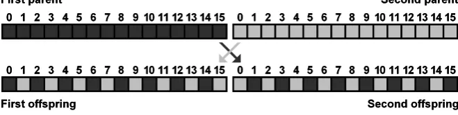 Fig. 7. The crossover of two parent individuals producing two offspring 