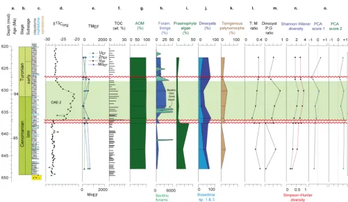 Figure 10. ODP Site 1261 data. Legend same as Fig. 4. δ13Corg data from Erbacher et al