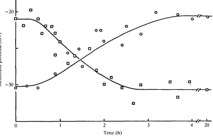 Fig. 2. Change in membrane potential during adaptation to K+solution containing8 mmol I"transferred to a solution containing 2ramoir