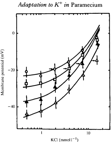 Fig. 3. Effect of [K+of K]o on membrane potentials of cells adapted to various concentrations+