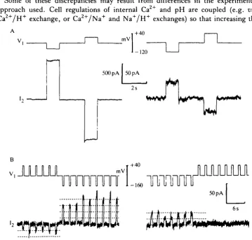 Fig. 3. Voltage dependence of junctional channels in pairs of lacrimocytes. (A) Anexample of a junction which is insensitive to voltage both in the initial high-conductance