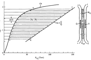Table 2. Morphometric measurements of gill structures in2-18 and Scyliorhinus stellaris of 2-53 kg body mass, used for calculations of morphometric O2 diffusingcapacity