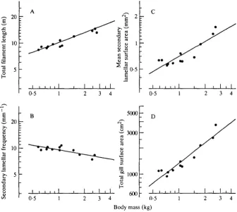 Fig. 6. Double-logarithmic plots of the total gill surface area (D) and its componentparameters (A-C) against body mass