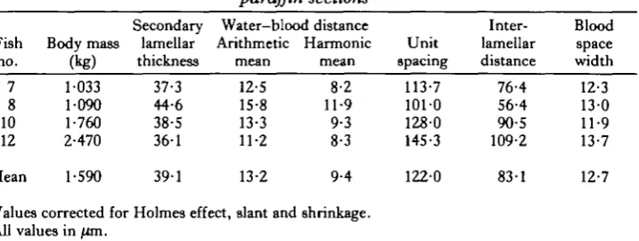 Table 3. Dimensions of gill elements in Scyliorhinus stellaris after measurements inparaffin sections