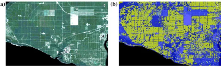 Figure 4. (a) landsat 8 image taken in selangor in 2010 (scale 1: 30,000) (UsGs 2010); (b) oil palm classified using multi-sensory approach: landsat 8 and alos palsar (oil palm indicated in yellow) (JaXa/meti 2010).