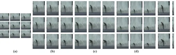 Fig. 7. Comparison results of a walking man with a dog for the four resizingmethods when the resolution is resized from 180×144 to 200×288: (a) theoriginal frames, (b) scaling, (c) the best cropping, (d) seam carving, and (e) ouralgorithm
