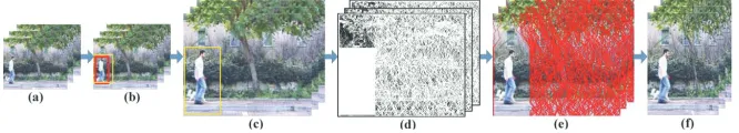 Fig. 1. An example of perception-driven resizing displaying the (a) input, (b)attention region, (c) interpolated image, (d) pixel energy display, (e) removedseams, and (f) output