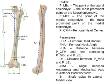 Fig. 6. Six parameters and basic RGEs (points) defined on the femur polygonal model 
