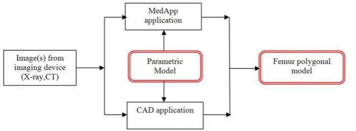 Fig. 1. The basic schema of femur polygonal model creation process  