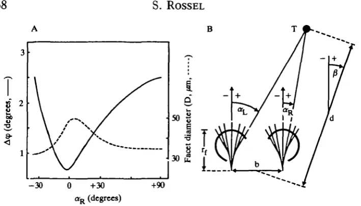 Fig. 1. Eye parameters which govern the optical dimensions of the mantid eye anddefinitions