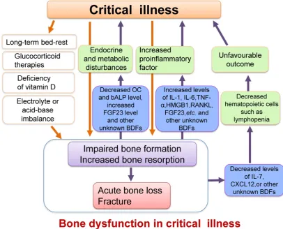 Figure 4. Schematic diagram illustrating the relationship between critical illness and bone dysfunction