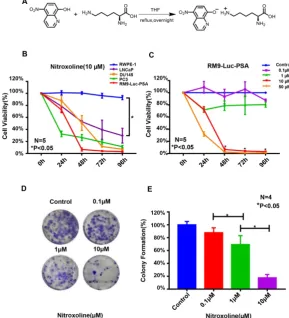 Figure 1. Nitroxoline suppresses the viability and colony-formation ability of RM9-Luc-PSA cells in vitro