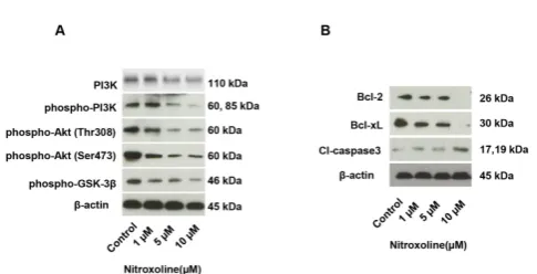Figure 2. Thedifferent doses. (concentration groups (control, 1 flow cytometry analysis