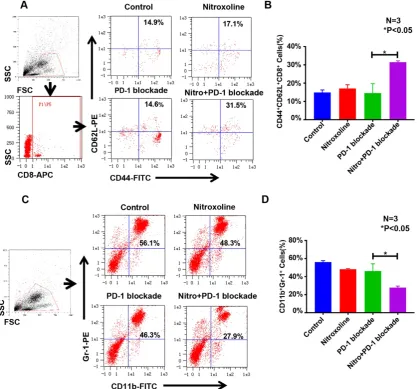 Figure 6. Nitroxoline combined with programmed cell death protein 1 (PD-1) blockade increases CD44(N = 3, *memory T cells from tumor-bearing mice at the experiment endpoint