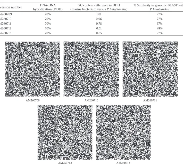 Figure 1: QR codes of marine bacterial 16S rRNA gene sequences: AM260709–AM260713.