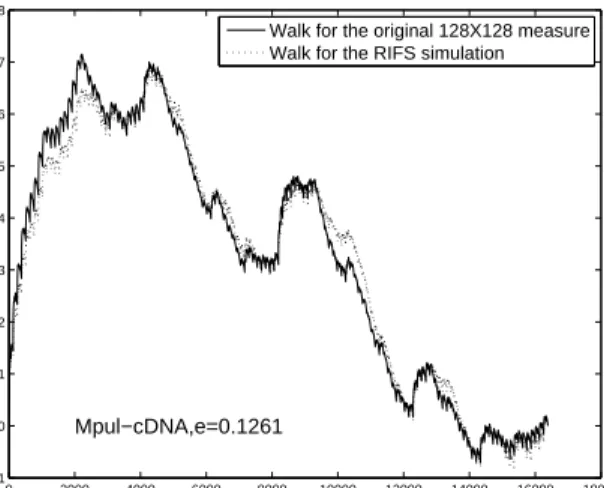 Figure  6.  Chaos  game  representation  of  the  linked  coding  sequence  from  genome  of  Mycoplasma  pulmonis    UAB  CTIP  (Mpul)  (with  873,651 bps) 