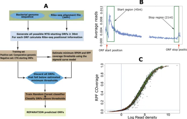 Figure 1. RibosomeE Profiling Assisted (Re-)AnnotaTION (REPARATION) pipeline for de novo open reading frame (ORF) delineation in prokaryotes.