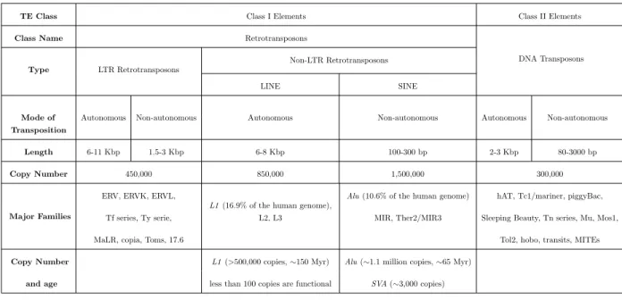 Table 2.2: Overview of different classes of transposable elements (reflecting the classification in Figure 2.4) in the human genome.