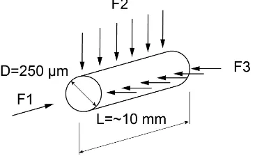 Figure 1.4 Schematic diagram shown possible loading states of an optical fiber.
