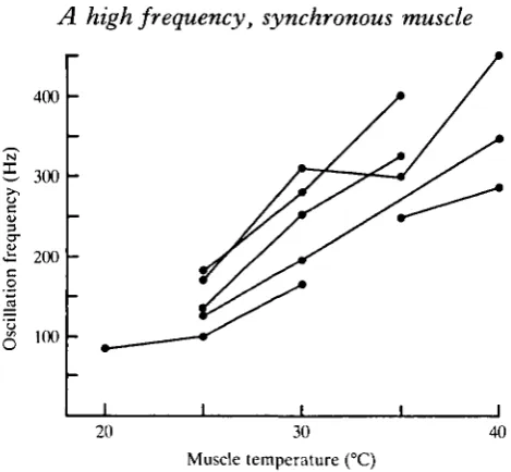 Fig. 11. Spontaneous oscillation frequency, measured from either electrical or mechanicaloscillations in tymbal muscles, as a function of muscle temperature