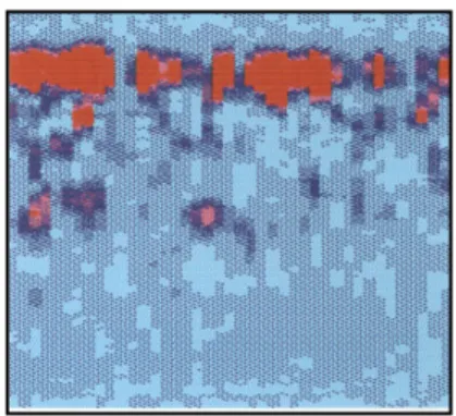 Fig. 2 GPR slice 