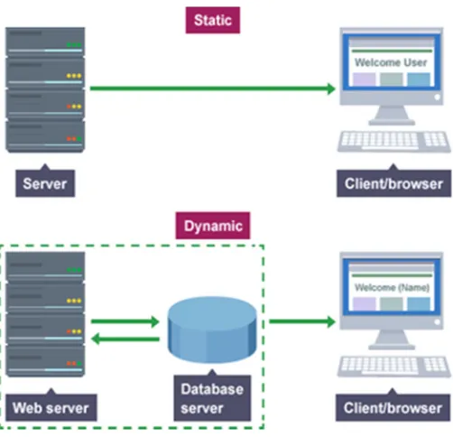 Fig. 1. Static and dynamic Website 