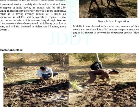 Figure 2- Land Preparation 