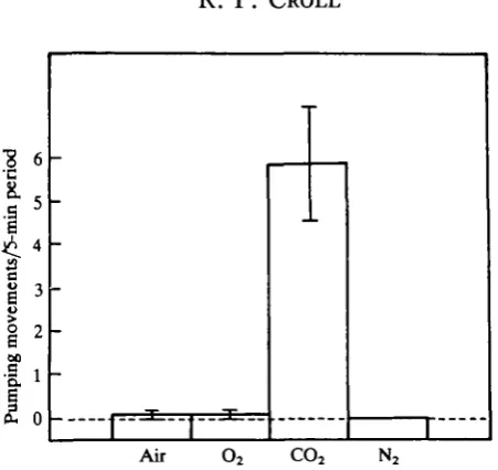 Fig. 1. Effect of different gas contents. Mean number of respiratory pumping movements (N =animals) during 5-min test periods when either air, oxygen, carbon dioxide or nitrogen gas was 10bubbled through the sea water