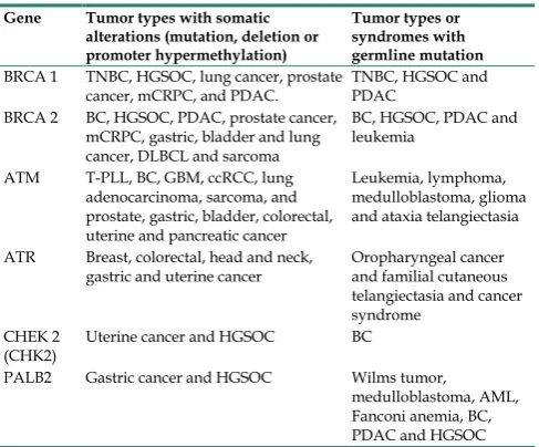 Table 1. Germline and somatic genes mutations involved in HR and related tumors [19] 