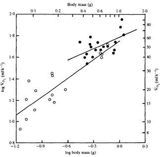 Fig. 3. The relationship of oxygen consumption to body mass in euglossine bees during free hoveringflight