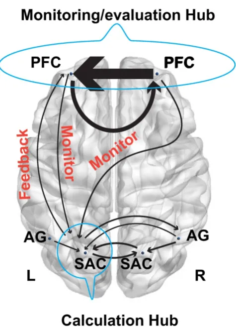 Figure 9. Model schematic showed monitoring and feedback processing. 