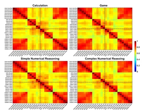 Figure 2. Configurations of the optodes and channels. The sources, detectors, and channels were visualized on brain templates in the first row and were colored in red, blue, and green, respectively