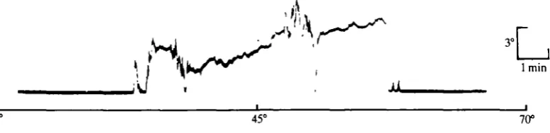 Fig. 3 Optokinetic response at behavioural threshold light intensity (photon flux about 6photons facet"' s~')