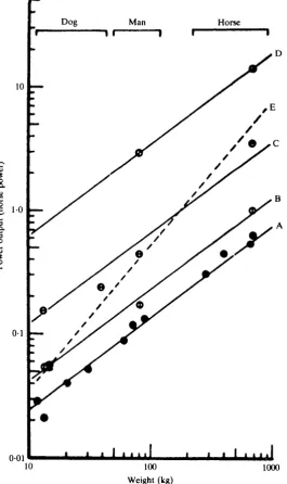 Fig. 4. The way in which the power output of an animal varies with its weight. The experimentalpoints are for dogs, men and horses