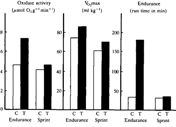 Fig. 1. Vcapacity of rats after endurance or sprint training. (From Davies, Packero max, oxidative potential of muscle (pyruvate-succinate as substrate) and endurance & Brooks, 1981, 1982.) C,control rats; T, trained rats.