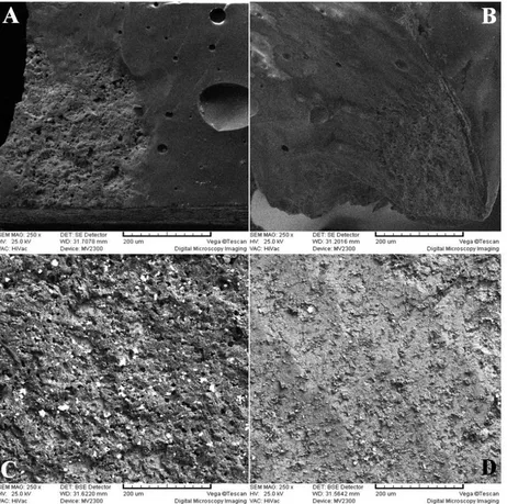 Fig. 5: SEM microphotographs of the fractured surfaces: (A) Al2O3 air abrasion, (B) CO2 laser irradiation, (C) Er:YAG laser irradiation, (D) Control group