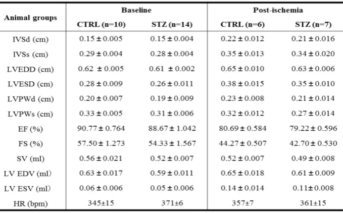 Table 2.   Effect of prenatal STZ on LV parameters in offspring before heart ischemia and 7 days after heart ischemia 