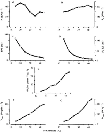 Fig. 1. Contractile performance of the iliofibularis muscle of the lizard Dipsosaurus dorsalistension, TPT; (D) time of half relaxation from peak twitch tension, 1/2 RT; (E) rate of rise of tetanicfunction of temperature