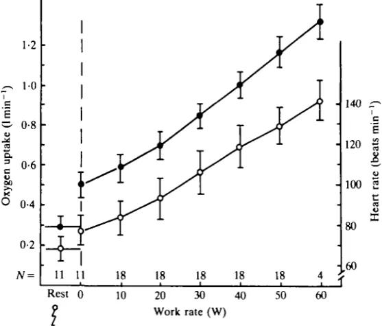 Fig. 1. A schematic drawing of the exercise-machine used (the modified Krogh bicycle ergometer forknee-extensor)