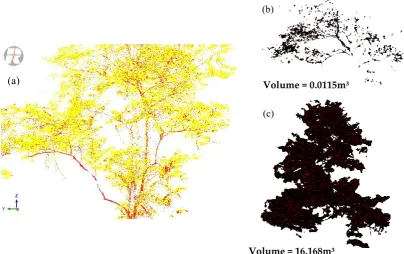 Figure 8.Figure 8. Delineation of branches and leaves from TLS‐generated cloud points: (a) classified branches in red Delineation of branches and leaves from TLS-generated cloud points: ( and leaves in yellow; (b) volume of branches and (c) volume of leaves, estimateda) classiﬁed branches inred and leaves in yellow; (b) volume of branches and (c) volume of leaves, estimated using alpha shapes. using alpha 