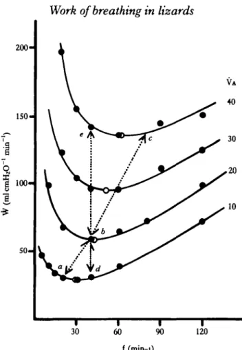 Fig. 9. Relationship between minute work (W) and ventilation frequency (f) for several levels of alveolar minute ventilation (VA in mlmin" 1 100g~')