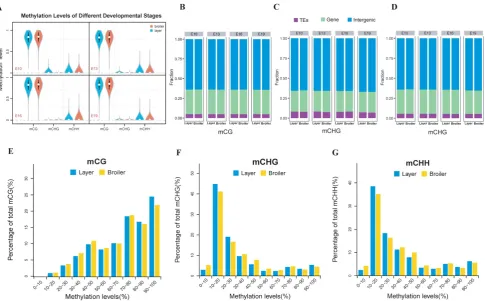 Fig. 1. Genome-wide profiles of DNA methylation among different sample groups. (A) Genomic methylation levels in either layers or broilers at E10, E13, E16 and E19, respectively