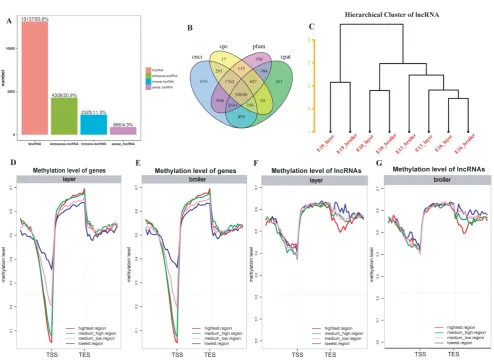 Fig. 5. Heatmap clustering analysis and PCA analysis. (A) Heatmap clustering using merged common DMRs among 24 samples (see Materials and Methods)