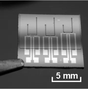 Figure 3-9 Fabricated platinum black electroplated impedance sensor device I 