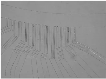 Figure 2-19 Separation profile of 5 μm and 10 μm polystyrene beads in device I.  Exit 